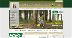 Desktop Screenshot of forestal.uach.cl