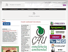 Tablet Screenshot of comiteambiental.uach.mx